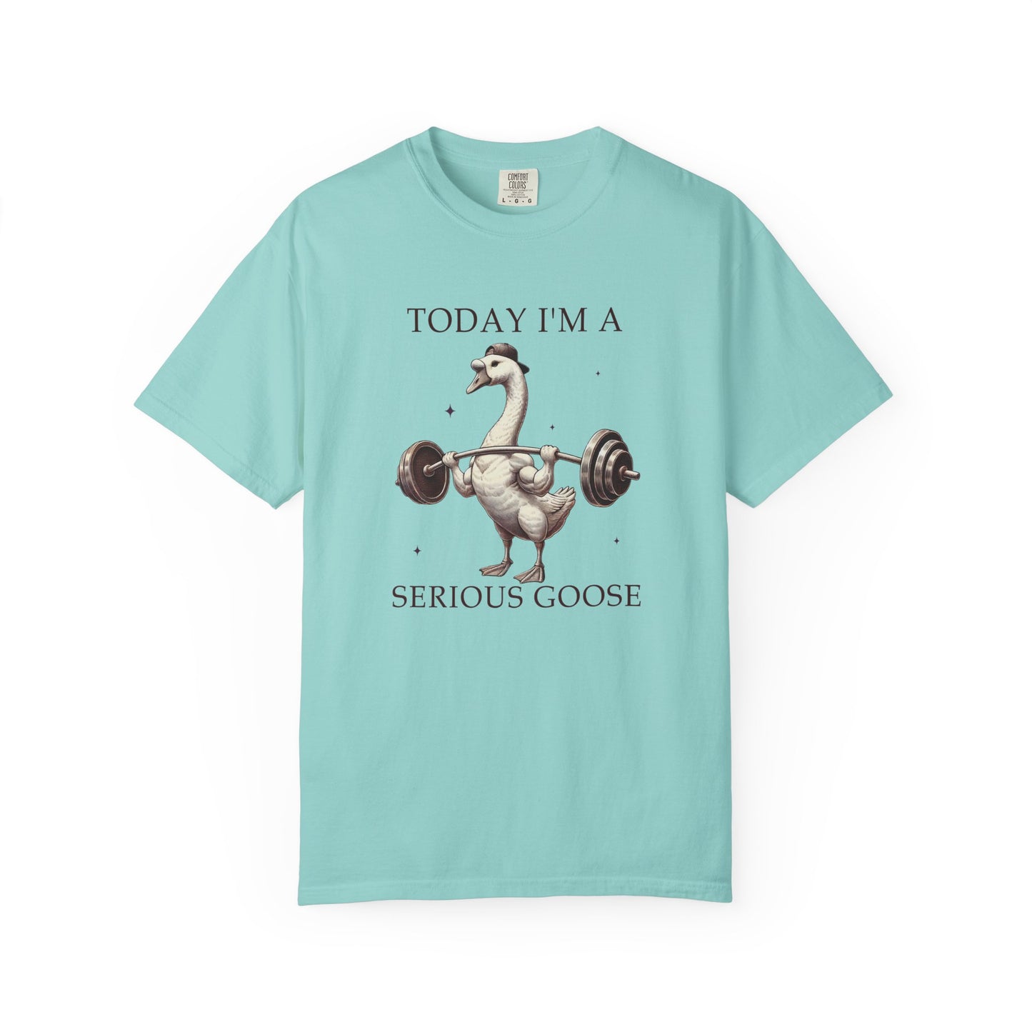 Today I'm a serious goose Unisex Garment-Dyed T-Shirt - Casual Vintage Style for Everyday Wear