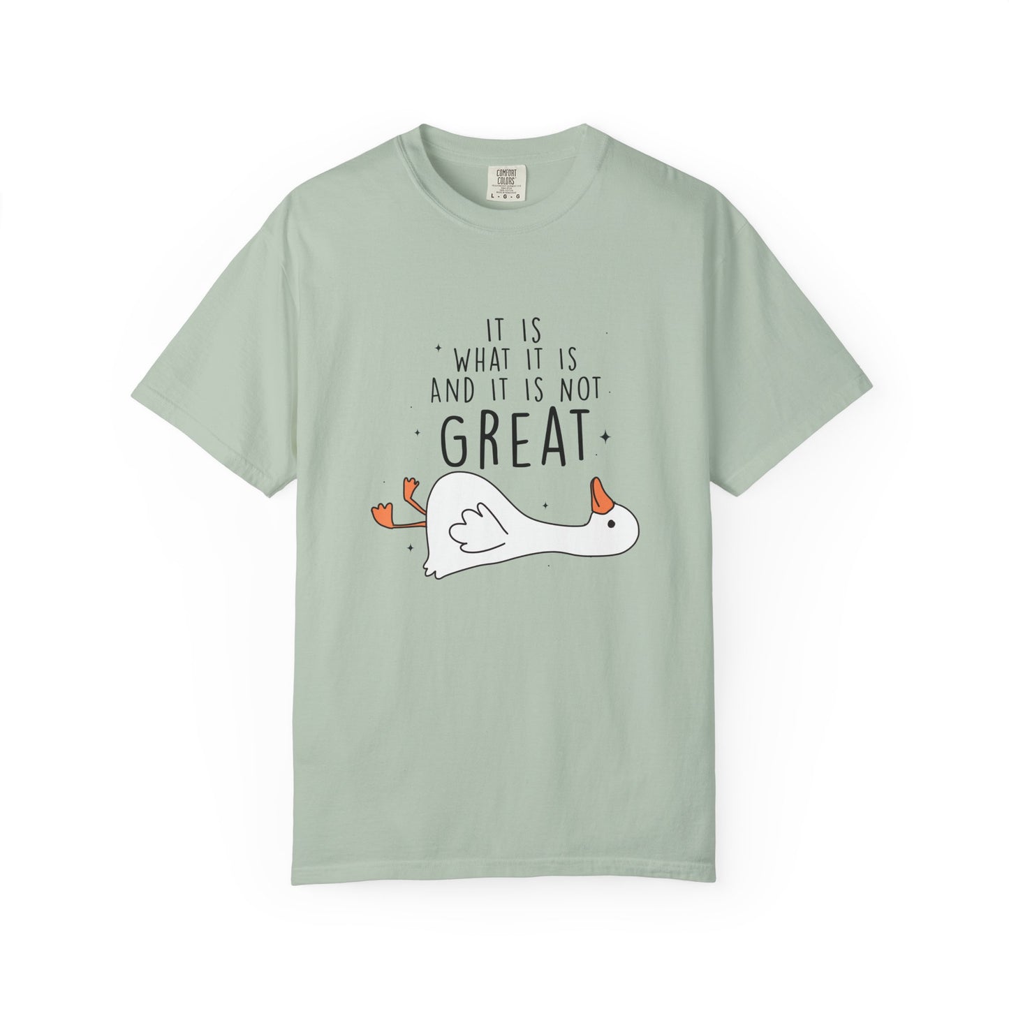It is what it is and it's not great Silly goose Unisex Garment-Dyed T-Shirt - Casual Vintage Style for Everyday Wear
