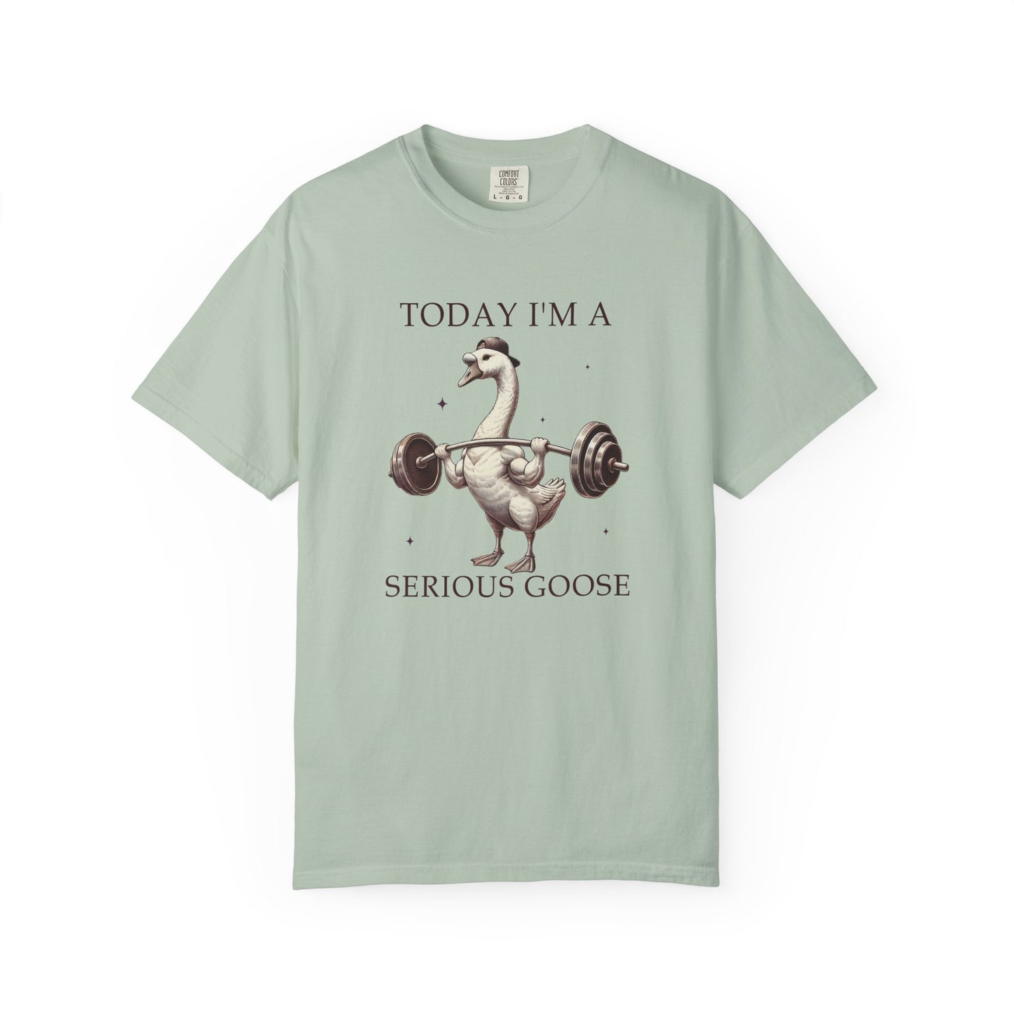 Today I'm a serious goose Unisex Garment-Dyed T-Shirt - Casual Vintage Style for Everyday Wear