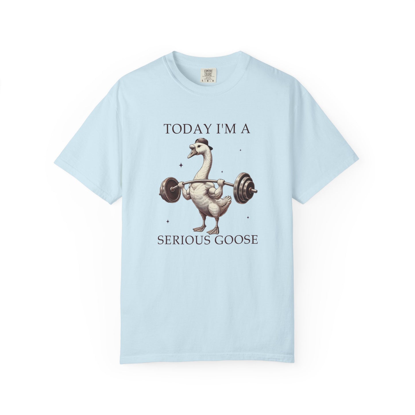 Today I'm a serious goose Unisex Garment-Dyed T-Shirt - Casual Vintage Style for Everyday Wear
