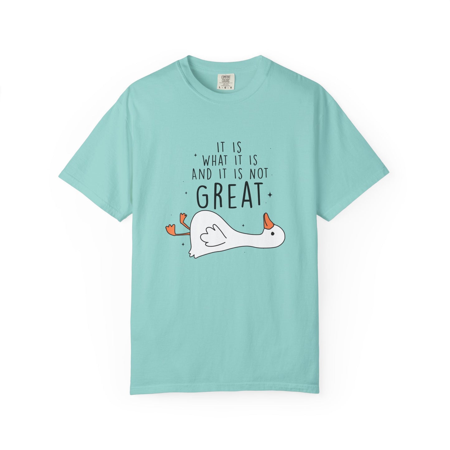 It is what it is and it's not great Silly goose Unisex Garment-Dyed T-Shirt - Casual Vintage Style for Everyday Wear