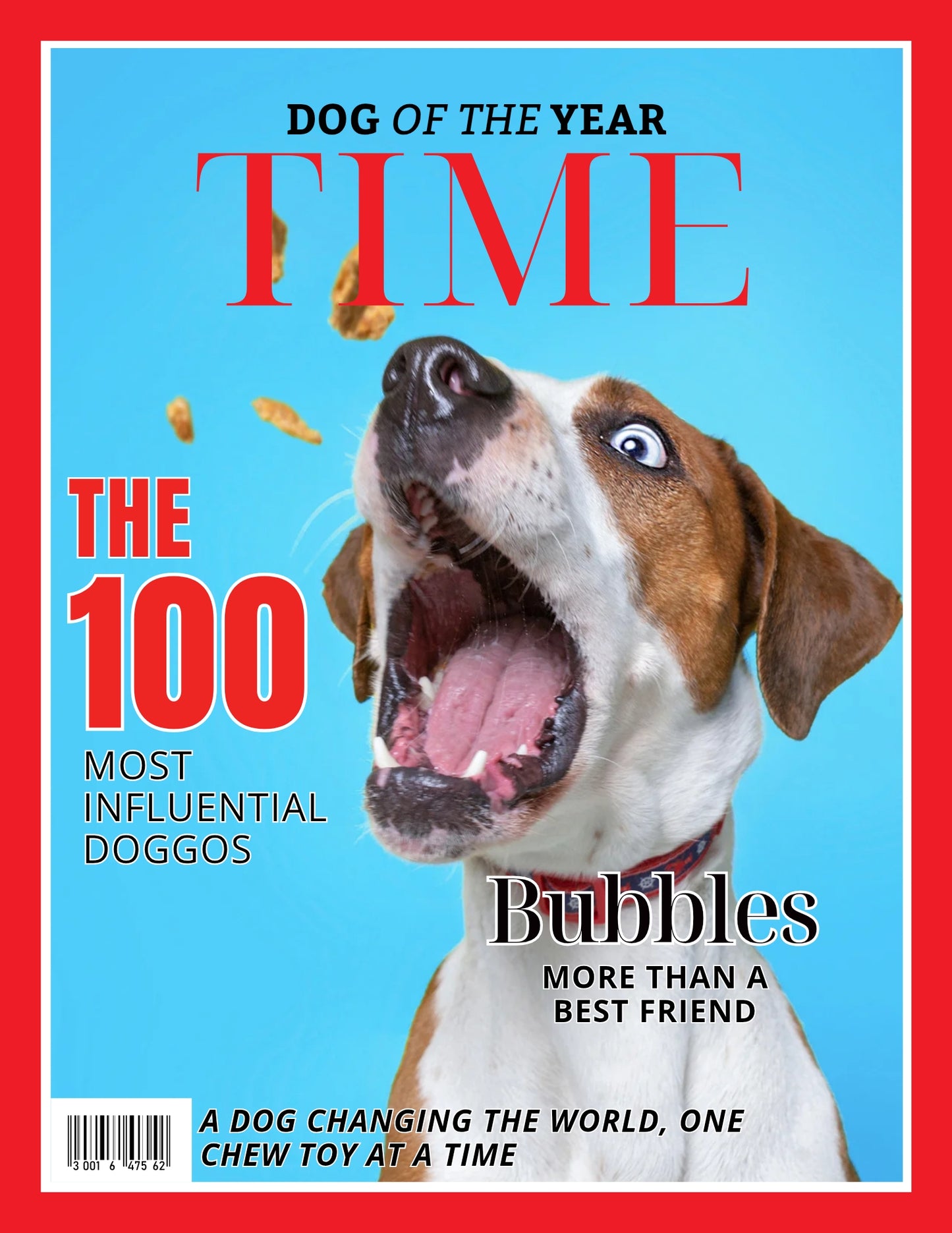 Magazine Cover Poster, Birthday or Retirement Gift, Pet Poster Gifts, Editable in Canva