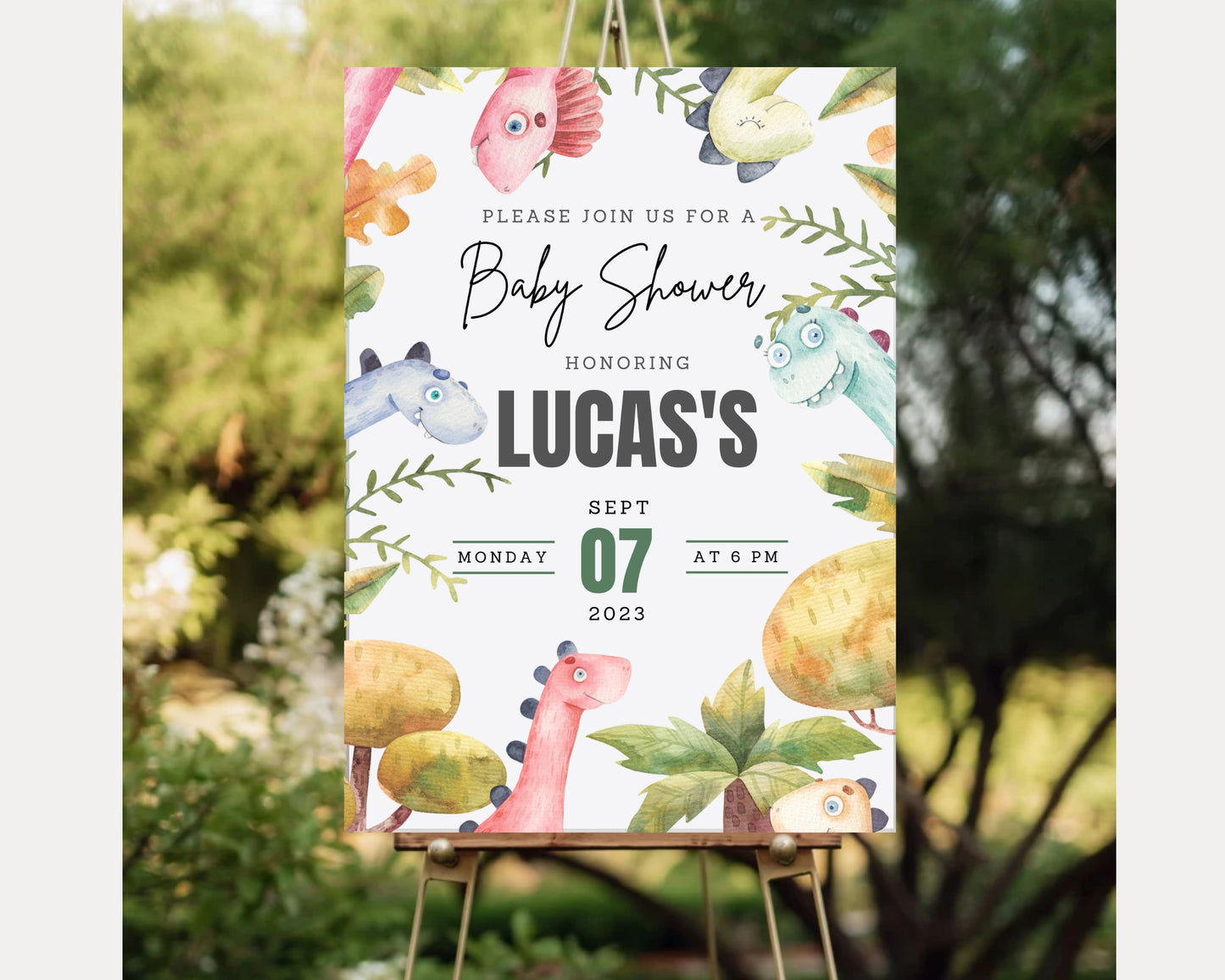 Baby Shower Birthday Party Invitation BSDWS82