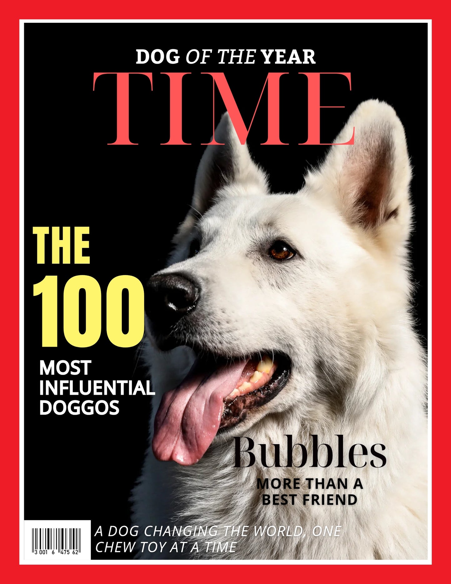 Magazine Cover Poster, Birthday or Retirement Gift, Pet Poster Gifts, Editable in Canva