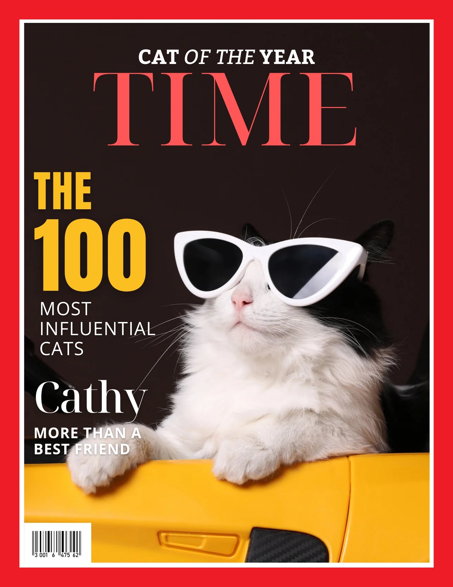 Magazine Cover Poster, Birthday or Retirement Gift, Pet Poster Gifts, Editable in Canva