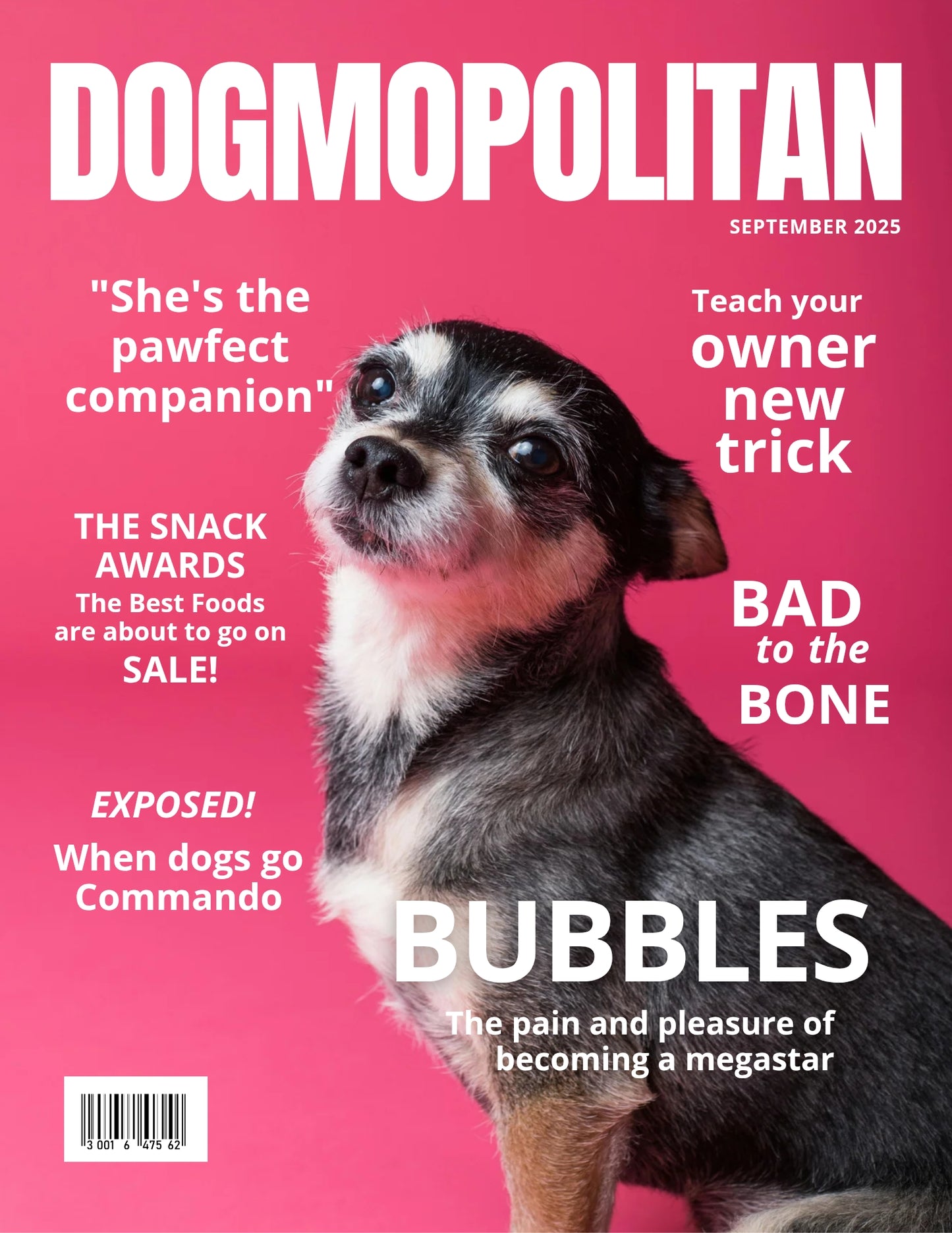 Magazine Cover Poster, Birthday or Retirement Gift, Pet Poster Gifts, Editable in Canva