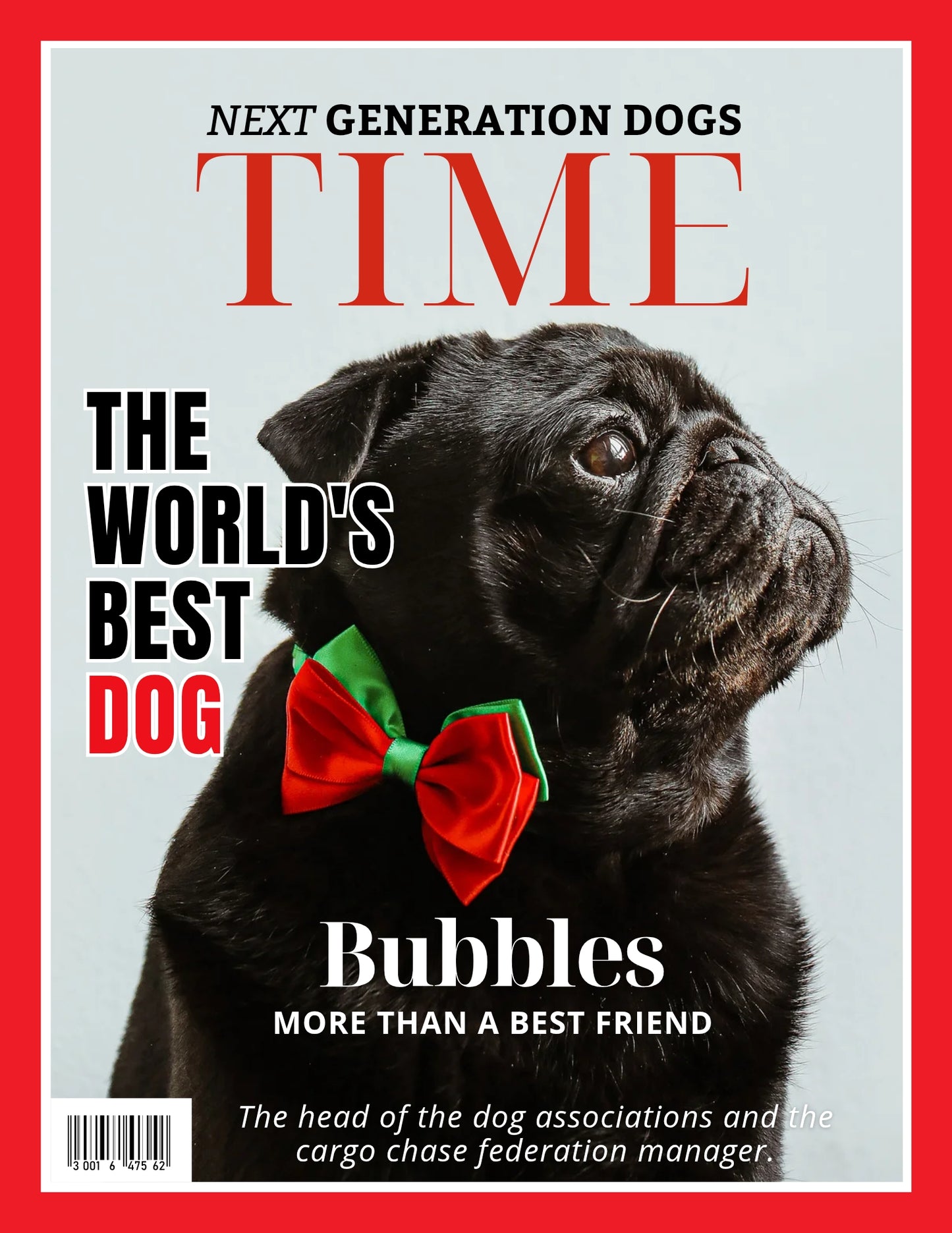 Magazine Cover Poster, Birthday or Retirement Gift, Pet Poster Gifts, Editable in Canva