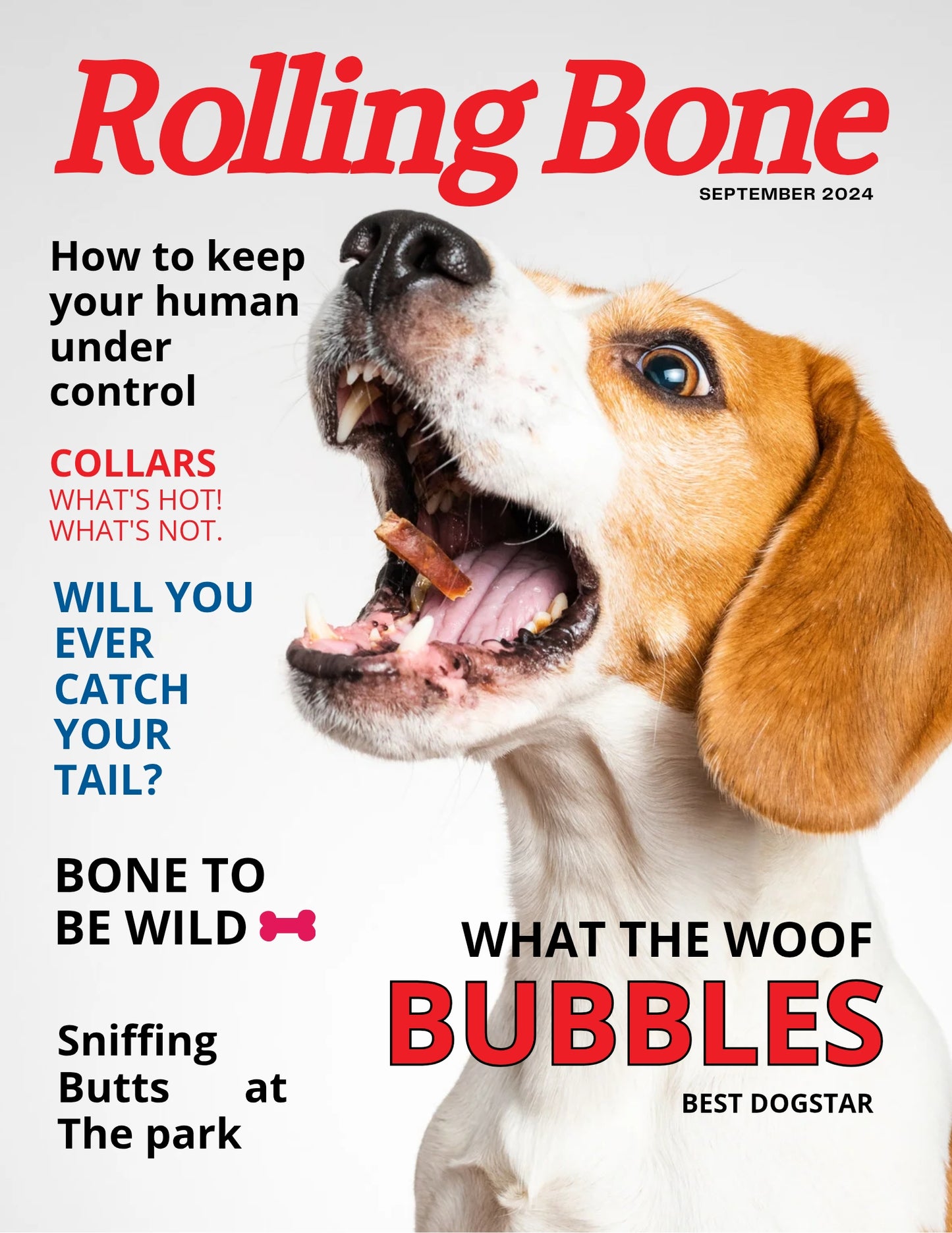 Magazine Cover Poster, Birthday or Retirement Gift, Pet Poster Gifts, Editable in Canva