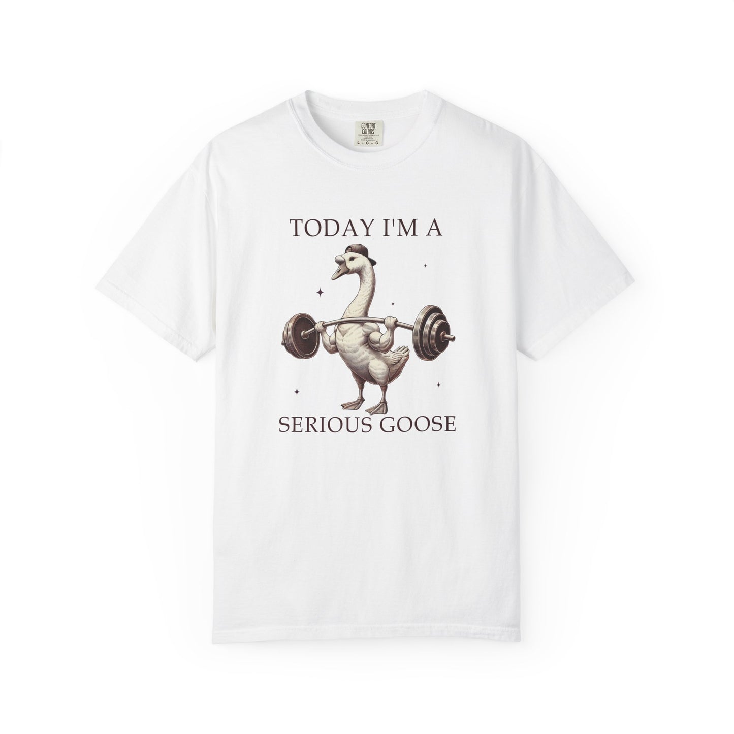 Today I'm a serious goose Unisex Garment-Dyed T-Shirt - Casual Vintage Style for Everyday Wear
