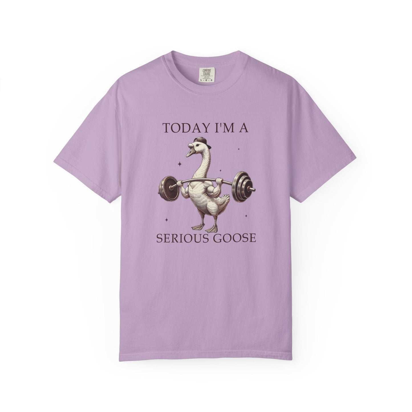 Today I'm a serious goose Unisex Garment-Dyed T-Shirt - Casual Vintage Style for Everyday Wear