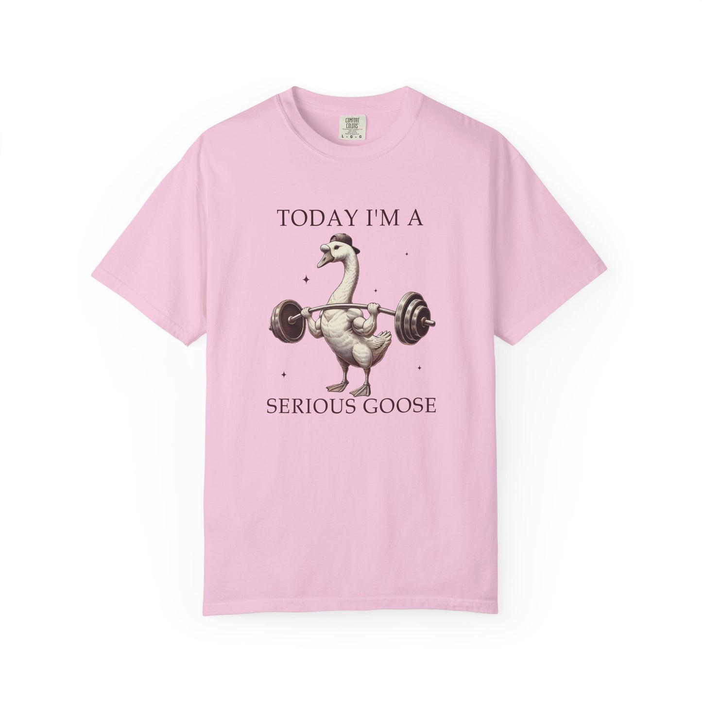 Today I'm a serious goose Unisex Garment-Dyed T-Shirt - Casual Vintage Style for Everyday Wear