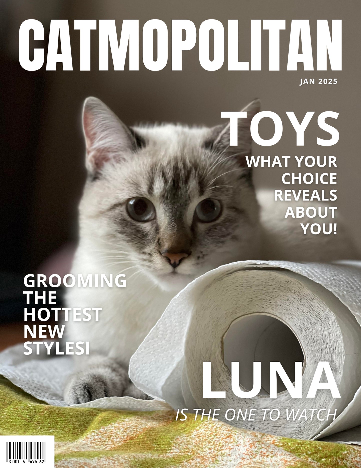 Magazine Cover Poster, Birthday or Retirement Gift, Pet Poster Gifts, Editable in Canva