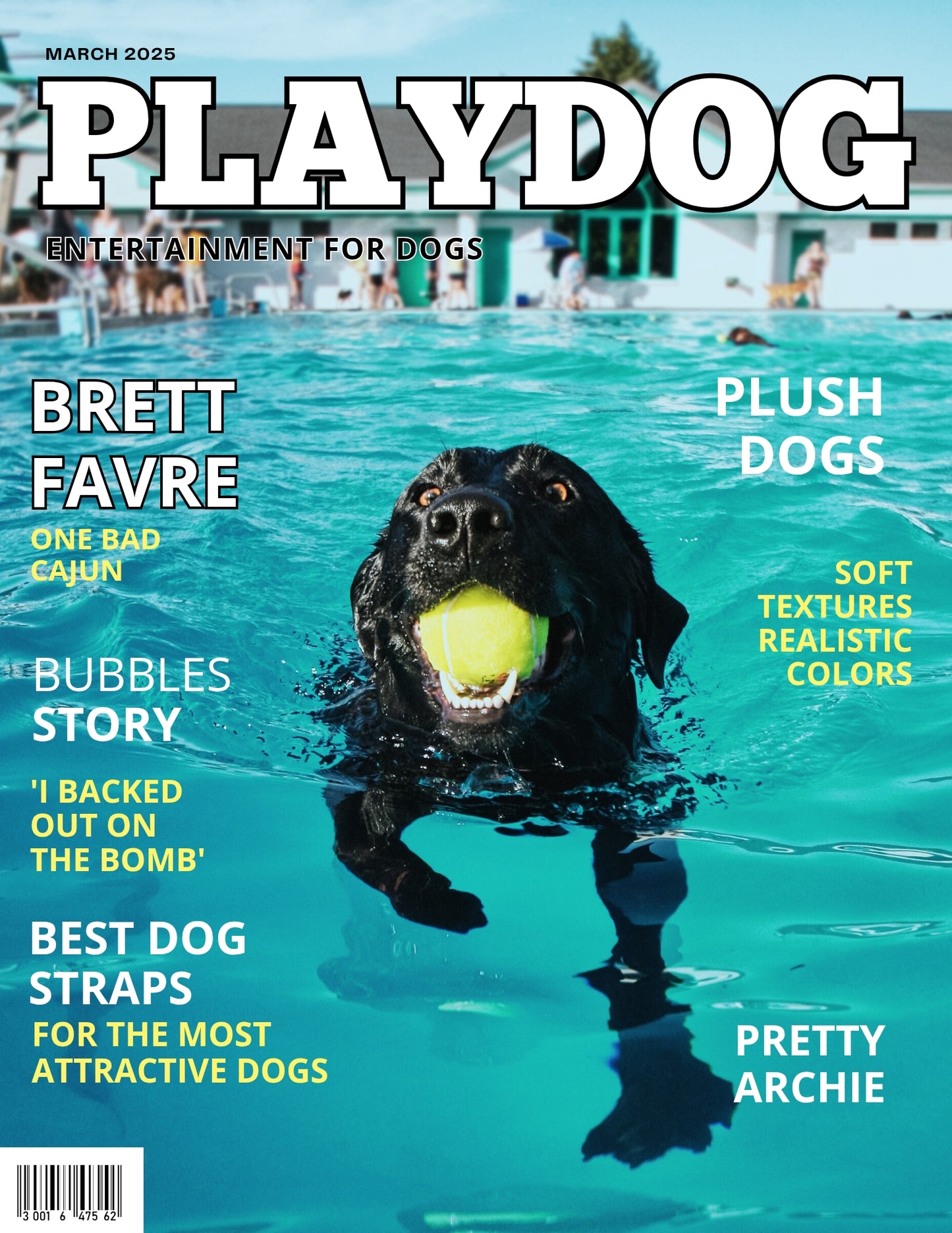 Magazine Cover Poster, Birthday or Retirement Gift, Pet Poster Gifts, Editable in Canva