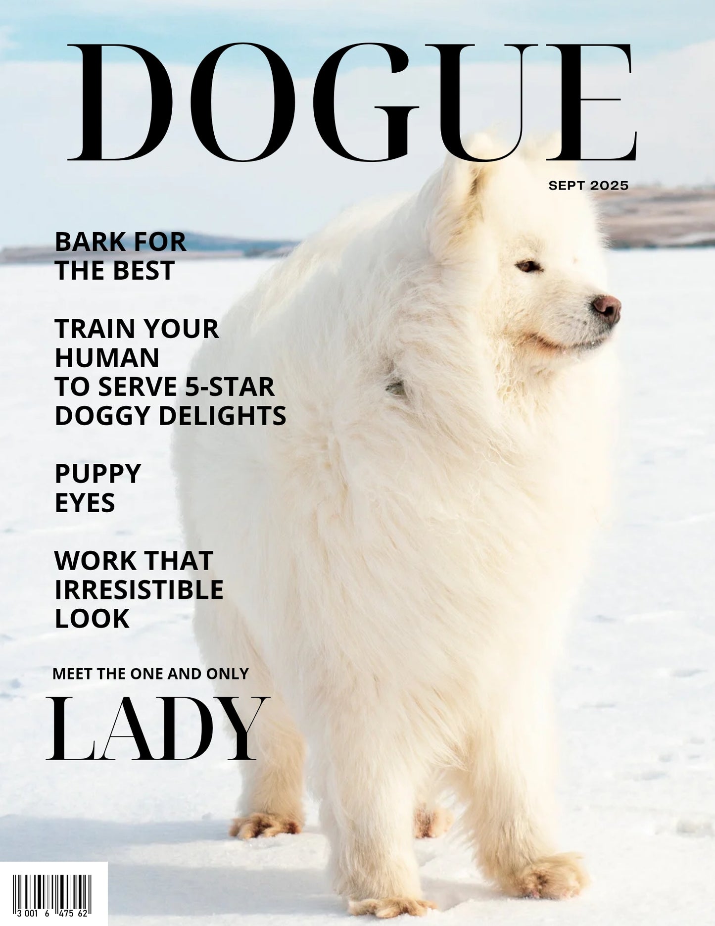 Magazine Cover Poster, Birthday or Retirement Gift, Pet Poster Gifts, Editable in Canva