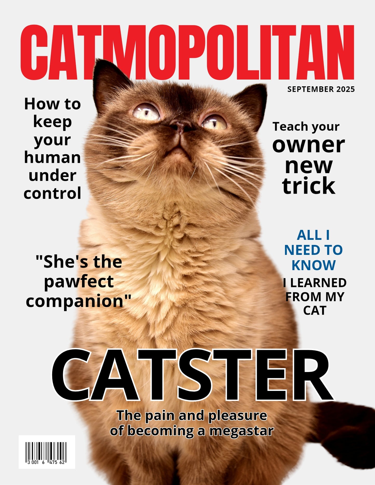 Magazine Cover Poster, Birthday or Retirement Gift, Pet Poster Gifts, Editable in Canva