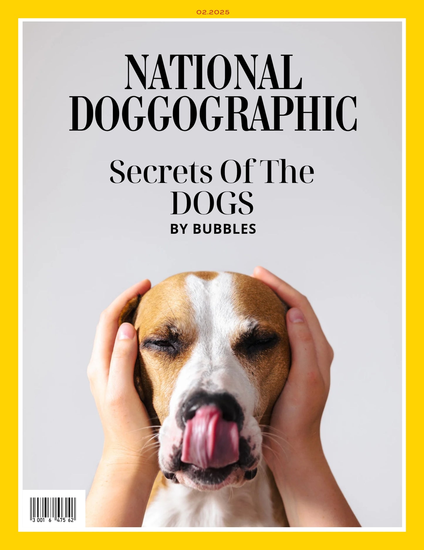 Magazine Cover Poster, Birthday or Retirement Gift, Pet Poster Gifts, Editable in Canva