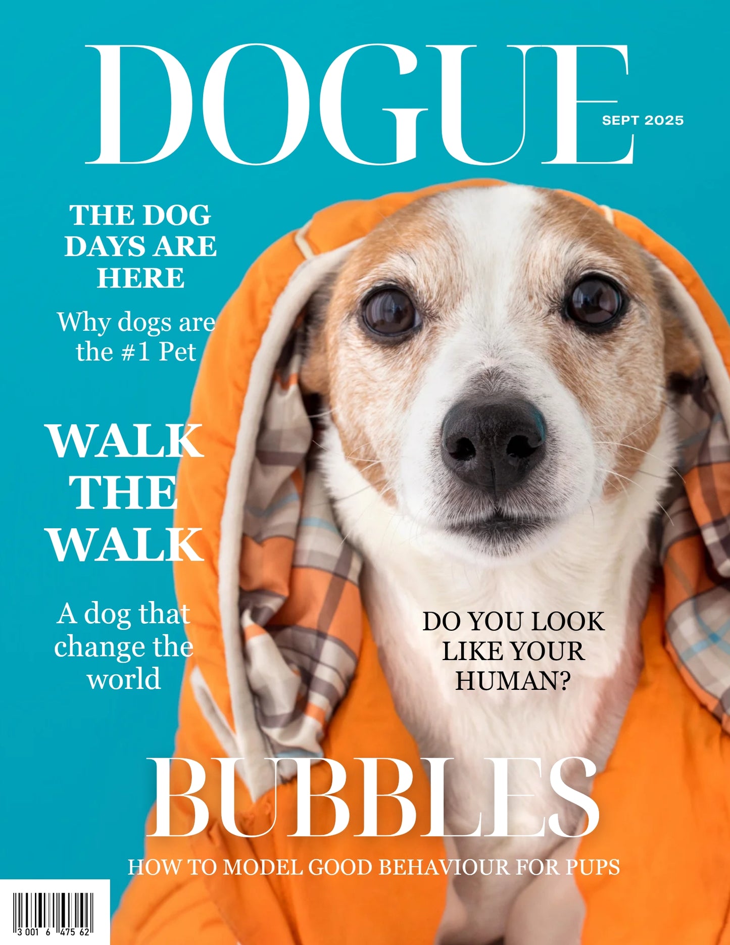 Magazine Cover Poster, Birthday or Retirement Gift, Pet Poster Gifts, Editable in Canva