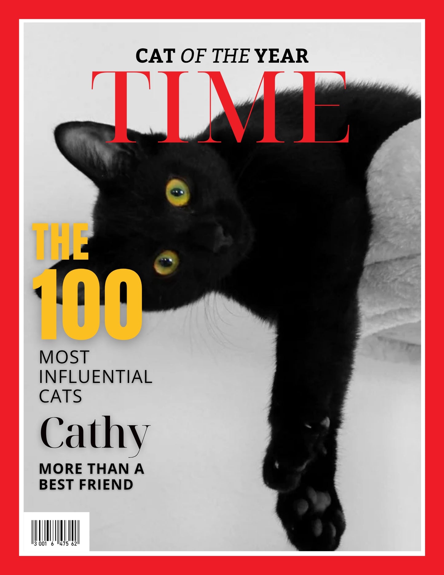 Magazine Cover Poster, Birthday or Retirement Gift, Pet Poster Gifts, Editable in Canva