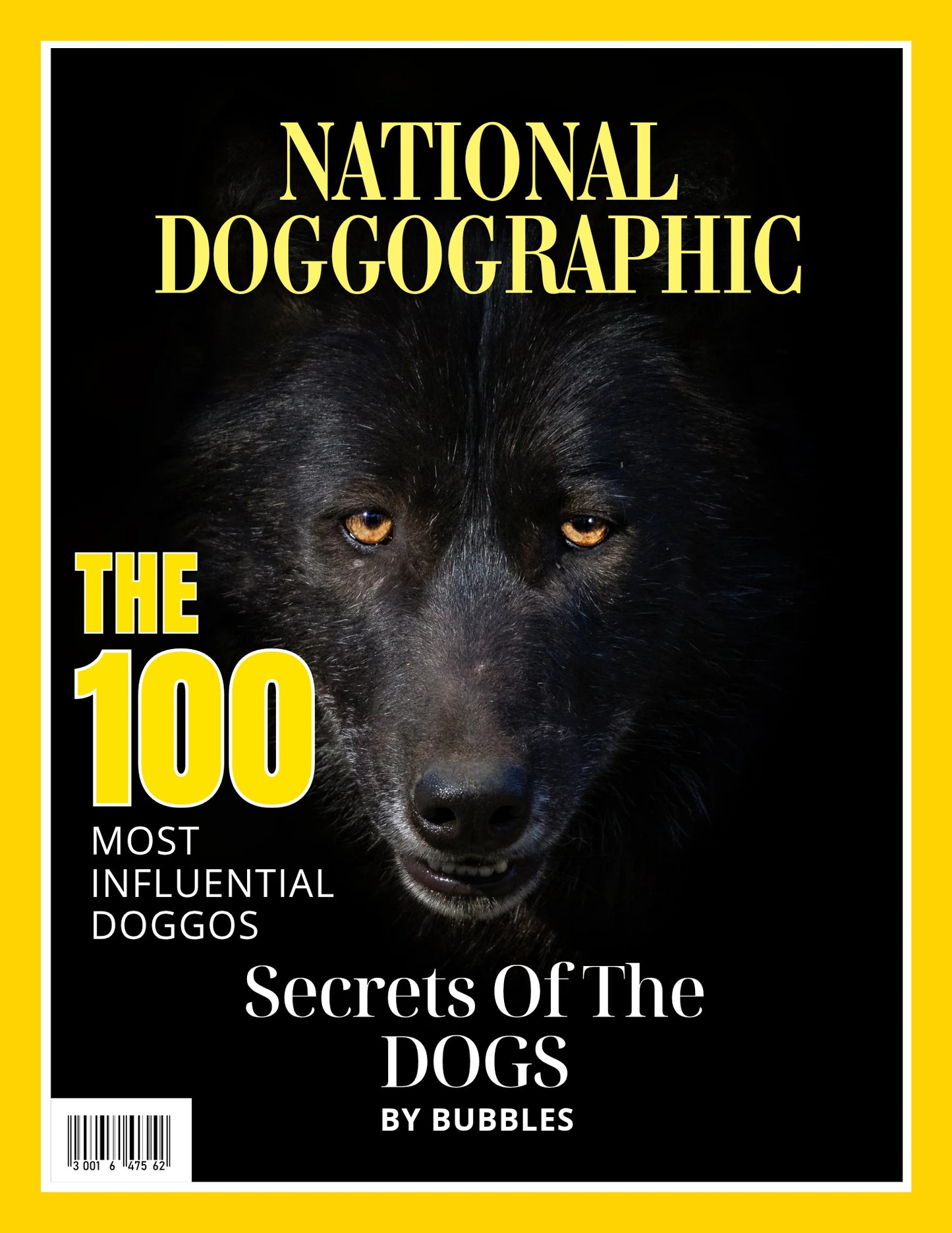 Magazine Cover Poster, Birthday or Retirement Gift, Pet Poster Gifts, Editable in Canva