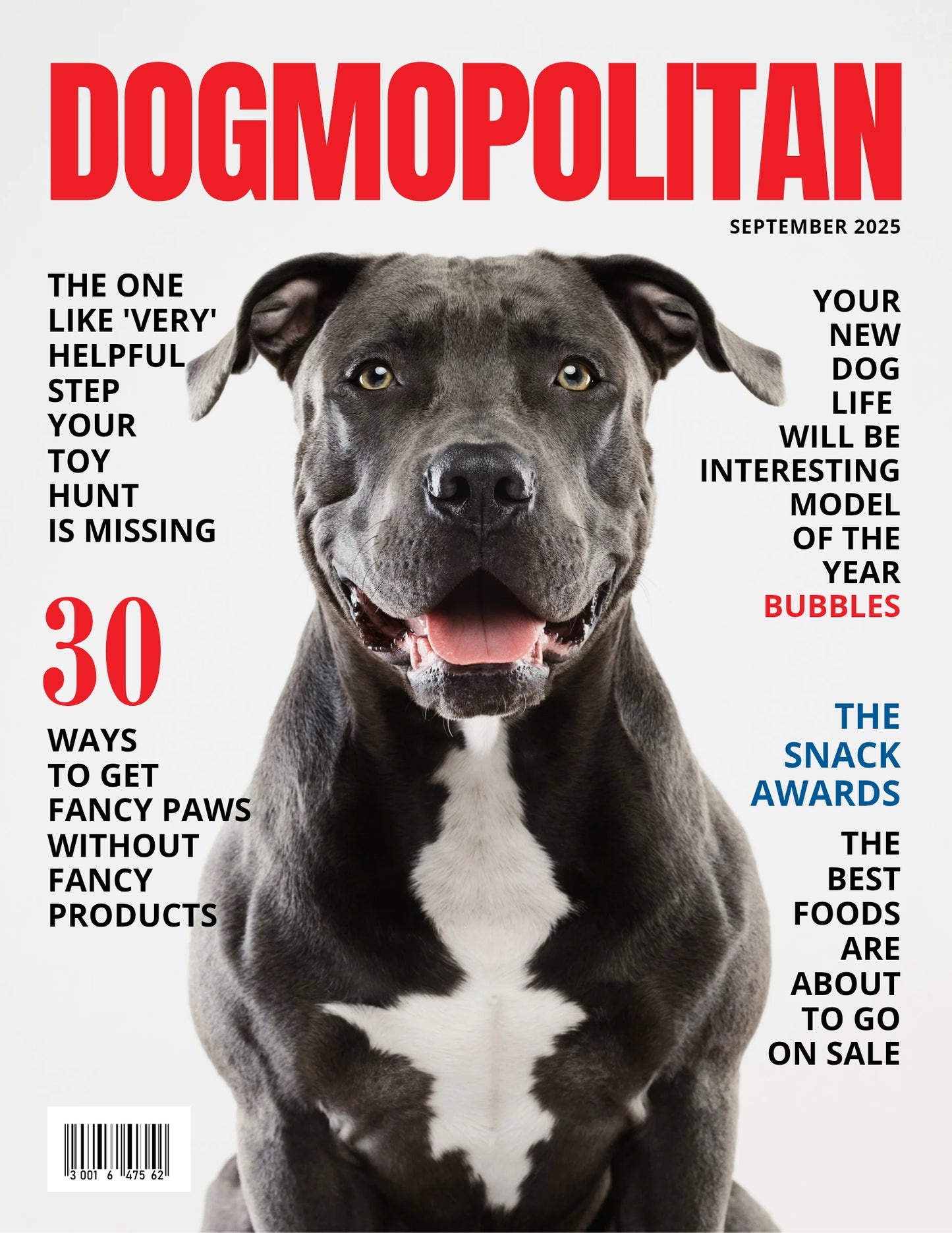 Magazine Cover Poster, Birthday or Retirement Gift, Pet Poster Gifts, Editable in Canva